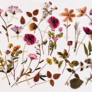 Dried Wildflower Stickers, Boho Floral Stickers, Botanical Decals (10 pc)