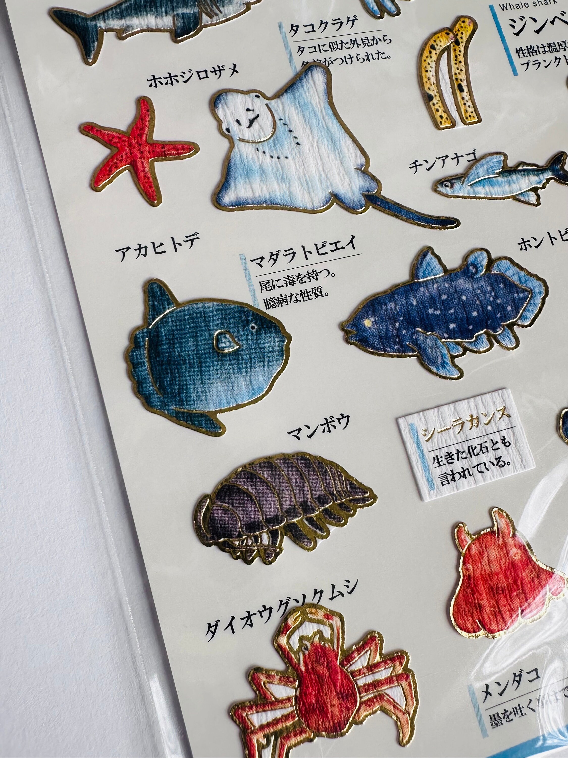 Life Fish Sticker Set of Sealife Fish Stickers, Sea Life, Coral Reef Fish Marine Stickers ...