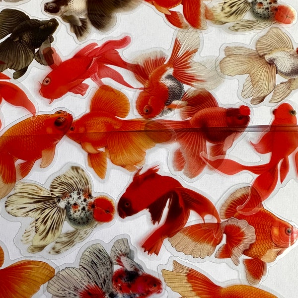 Set of goldfish, fish marine stickers | nature stickers | journal stickers | craft supplies, carp stickers