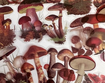 set of mushroom / woodland /planner stickers / craft stickers