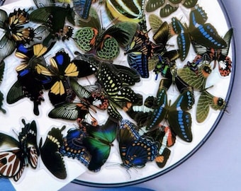 Dark Butterfly sticker set butterfly, craft black butterfly, bullet journal stickers, craft supplies, paper craft, kids craft supplies