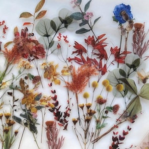 Set di adesivi con fiori secchi, adesivi con bouquet di fiori selvatici, adesivi con fiori selvatici, adesivi floreali hippie boho, adesivi con fiori di prato