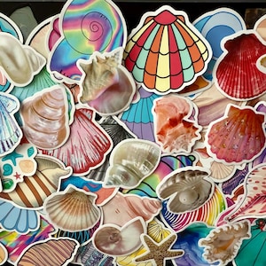 Beach shell life, shell, sea shell Sealife stickers, whale, dolphin, marine stickers | nature stickers | journal stickers | craft supplies