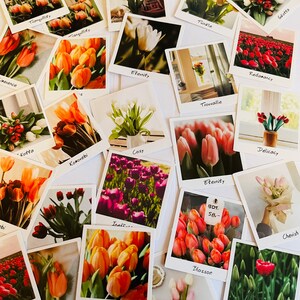 10er Set Tulpen Blumen Sticker Blume Pflanzen Bastel Sticker