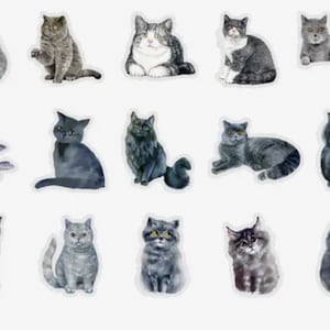 Stickers chat gris, Stickers agenda, Stickers agenda, Fabrication de cartes, Stickers coréens, Stickers petits travaux manuels, Scrapbooking BC, cadeau chat noir