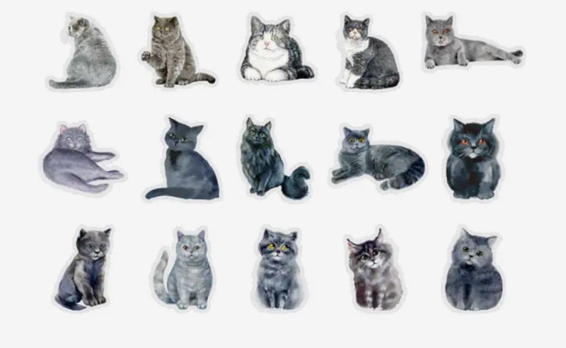 K&ouml;nnte beinhalten: Eine Sammlung von 18 Aquarell-Illustrationen von grauen und schwarzen Katzen in verschiedenen Posen. Die Katzen sind alle mit realistischen Details und ausdrucksstarken Gesichtern dargestellt.