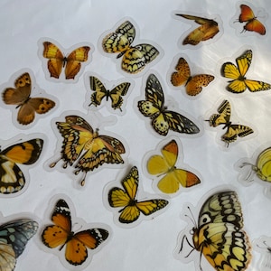 Mustard Butterfly Sticker Set, Watercolour Insect Stickers, Butterflies Crafting Stickers, Pink butterfly Stickers, Butterfly Lover Gift,