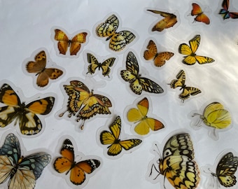 Mustard Butterfly Sticker Set, Watercolour Insect Stickers, Butterflies Crafting Stickers, Pink butterfly Stickers, Butterfly Lover Gift,