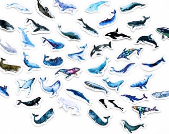 Sheet of whale dolphin, blue Sealife stickers, whale, dolphin, marine stickers | nature stickers | journal stickers | craft supplies