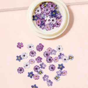 Könnte beinhalten: Ein kleiner Behälter gefüllt mit getrockneten lila und weißen Blumen. Die Blumen sind auf einer hellrosa Oberfläche verstreut.