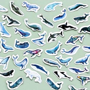 Sheet of whale dolphin, blue Sealife stickers, whale, dolphin, marine stickers | nature stickers | journal stickers | craft supplies
