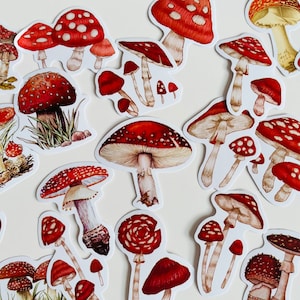 set of mushroom / woodland /planner stickers / craft stickers