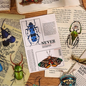 Stickers insectes transparents en vinyle grand format | de décalcomanies découpées | Réutilisable | Insectes Araignées Fourmis Crawlies effrayants | Créations artisanales pour ordinateur portable