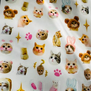 Puede incluir: Una hoja de pegatinas con temática de gatos. Las pegatinas presentan varias caras de gatos, algunas con sombreros o disfraces. Las pegatinas incluyen huellas de patas rosas y formas de estrella doradas. Los gatos son de varios colores, incluyendo naranja, blanco y gris.