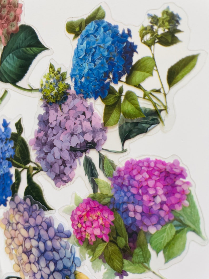 Set of Hydrangea Floral Stickers Flower Plants Craft Stickers, Bullet ...