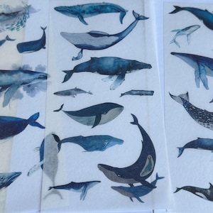 Sheet of whale dolphin, blue Sealife stickers, whale, dolphin, marine stickers | nature stickers | journal stickers | craft supplies