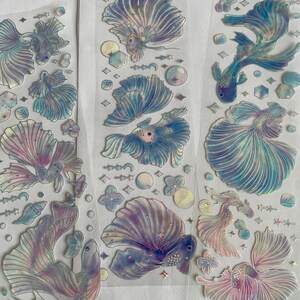 Fish Fin Sticker Set of Fish Marine Stickers | Nature Stickers | Journal Stickers ...
