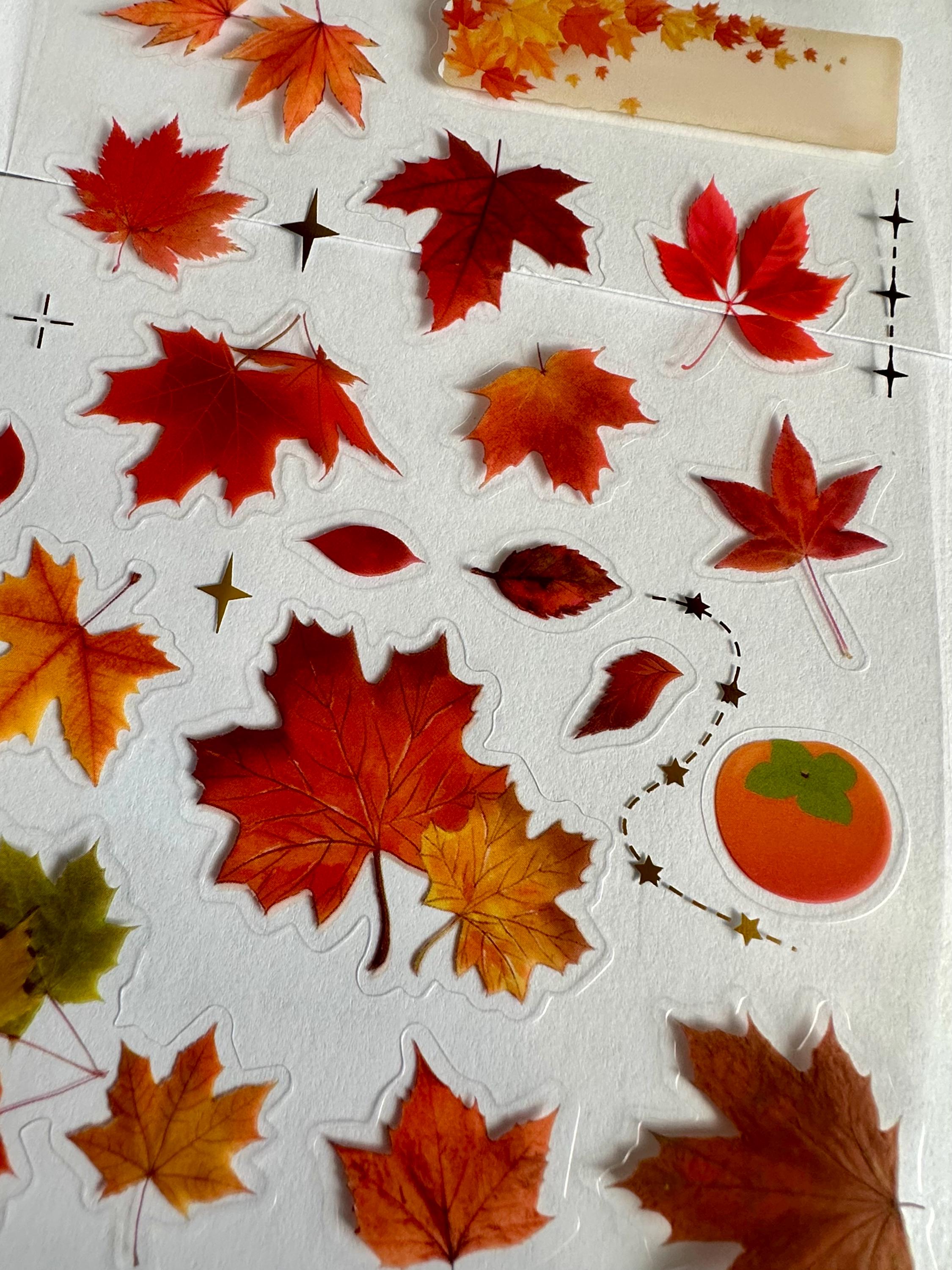 70 Pezzi Coriandoli In Legno A Tema Autunno: Funghi, Riccio E Foglie D'Acero – Decorazioni Tavolo Fai Da Te - 3