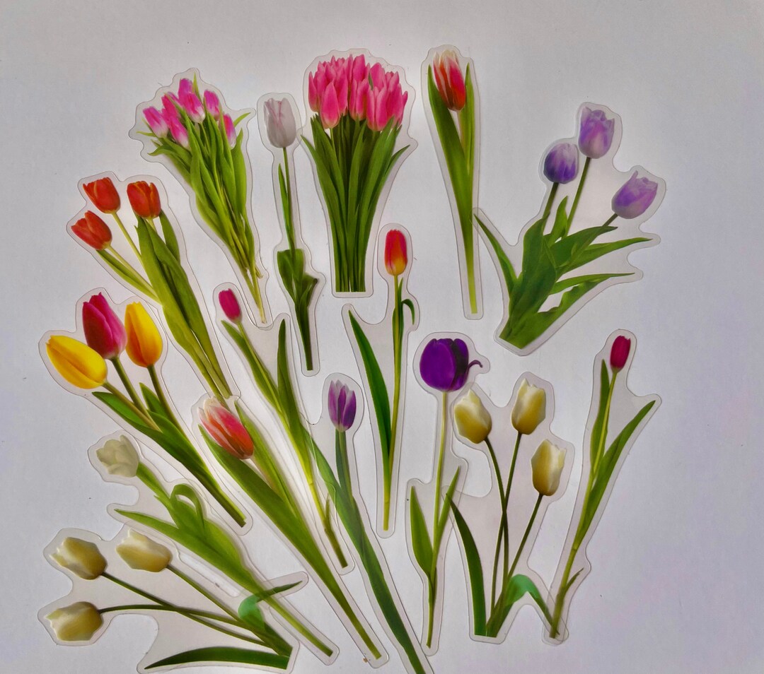 10 Set Tulip Floral Stickers Flower Plants Craft Stickers - Etsy