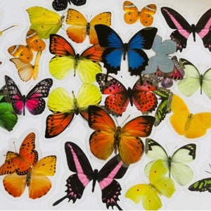 Butterfly Stickers Pack, Colourful Butterflies Sticker Set, Summer Journal, Nature Scrapbook Supplies, Planner Decoration, bullet journal