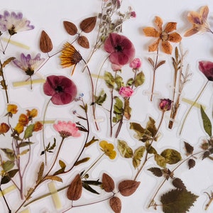 Set di adesivi con fiori secchi, adesivi con bouquet di fiori selvatici, adesivi con fiori selvatici, adesivi floreali hippie boho, adesivi con fiori di prato