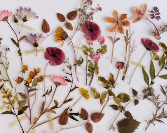 Dried Flowers Sticker Set, Wild Flower Bouquet Stickers, Wildflowers Stickers, Hippie Boho Floral Stickers, Meadow Flower Stickers