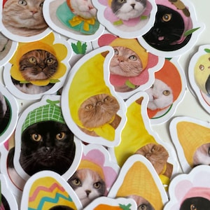 Stickers chat kawaii, Stickers agenda, Stickers agenda, Fabrication de cartes, Stickers fruits, Stickers petits travaux manuels, Fournitures de scrapbooking, cadeau chat