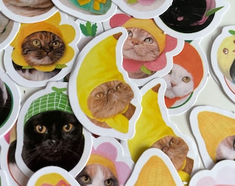 Kawaii Cat Stickers, Planner Stickers, Diary Stickers, Card making, Fruit Stickers, Tiny Craft Stickers, Scrapbooking Supply, cat gift