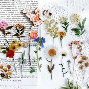 Set di adesivi con fiori secchi, adesivi con bouquet di fiori selvatici, adesivi con fiori selvatici, adesivi floreali hippie boho, adesivi con fiori di prato