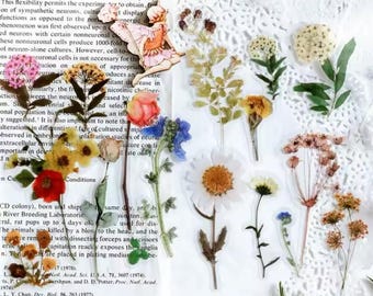 Dried Flowers Sticker Set, Wild Flower Bouquet Stickers, Wildflowers Stickers, Hippie Boho Floral Stickers, Meadow Flower Stickers
