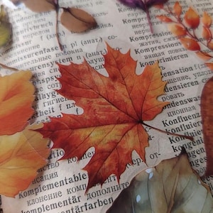 Puede incluir: Primer plano de hojas de oto&ntilde;o en tonos naranja, rojo y marr&oacute;n, con venas visibles. Las hojas est&aacute;n superpuestas sobre un fondo de p&aacute;ginas de libros antiguos con texto descolorido, creando un tema r&uacute;stico y estacional.