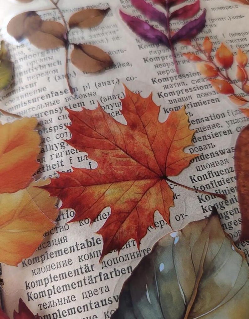 Puede incluir: Primer plano de hojas de oto&ntilde;o en tonos naranja, rojo y marr&oacute;n, con venas visibles. Las hojas est&aacute;n superpuestas sobre un fondo de p&aacute;ginas de libros antiguos con texto descolorido, creando un tema r&uacute;stico y estacional.