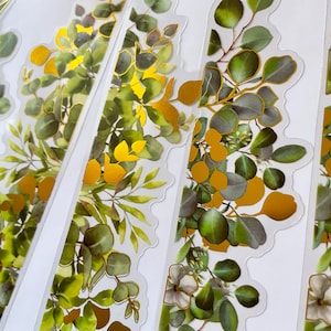 Set eucalyptusrandstickers, groene en gouden bladeren, bladeren voor het maken van kaarten, plantenstickers, bulletjournalstickers, herfstbladeren