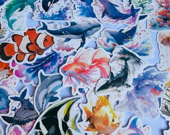 Set of fish marine stickers | nature stickers | journal stickers | craft supplies, carp stickers
