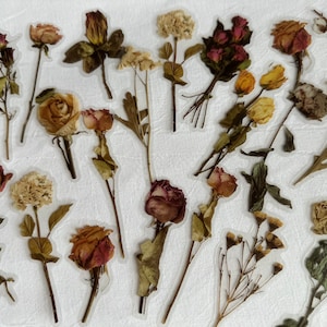 10 adesivi di fiori secchi, adesivi per diario, adesivi di fiori pressati, rose secche, fiori secchi, adesivi BUJO