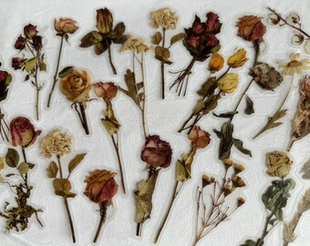 10 dried flower stickers, journaling stickers, pressed flower stickers, dried roses, dried flowers, BUJO stickers