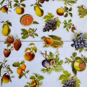 Set di adesivi di frutta, adesivi di bacche, adesivi fruttati, adesivi di fragole, adesivi di frutti di bosco, prugna, mela, lampone, albicocca, fiore