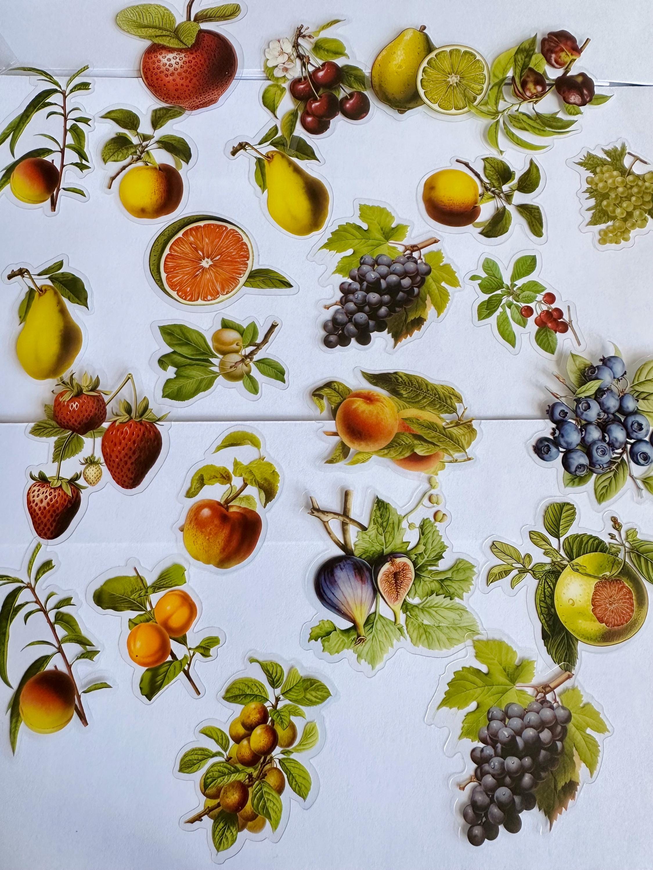 Sticker Frooty Fruit Sticker Set, Berry Stickers, Fruity Stickers, Strawberry Stickers ...