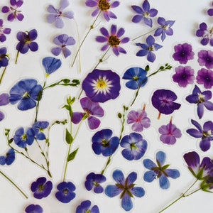 Set di adesivi con fiori viola, adesivi con bouquet di fiori selvatici, adesivi con viole del pensiero, adesivi floreali hippie boho, adesivi con fiori di campo