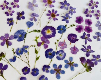 Lila Blumen-Aufkleber, Wildblumenstrauß-Aufkleber, Stiefmütterchen-Aufkleber, Hippie Boho Blumenaufkleber, Wiesenblumen-Aufkleber