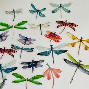 Dragonfly sticker sets,  bullet journal stickers, craft, nature butterfly, dragonfly craft supplies
