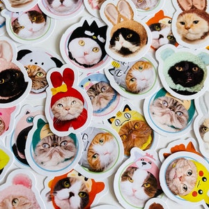Kawaii Katze Aufkleber, Planer Aufkleber, Tagebuch Aufkleber, Kartengestaltung, Obst-Aufkleber, kleine Handwerks-Aufkleber, Scrapbooking Bedarf, Katzengeschenk