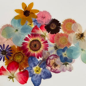 Pacote com 10 adesivos de flores prensadas | Conjunto reutilizável à prova d'água | Fundo transparente | Realista | Haste floral | Pétala de florista | Criação de cartão de diário