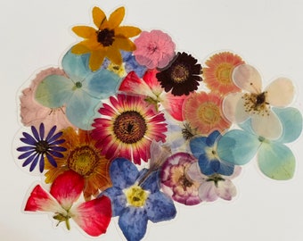10 Pressed Flower Sticker Pack | Waterproof Reusable Set | Clear backed | Realistic | Floral Stem | Florist Petal | Journal Card making