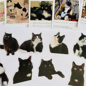 Stickers chat noir et blanc, Stickers agenda, Stickers agenda, Fabrication de cartes, Stickers coréens, Stickers petits travaux manuels, Scrapbooking, chat smoking