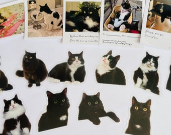 Black and White Cat Stickers: Planner, Scrapbook, Card Making