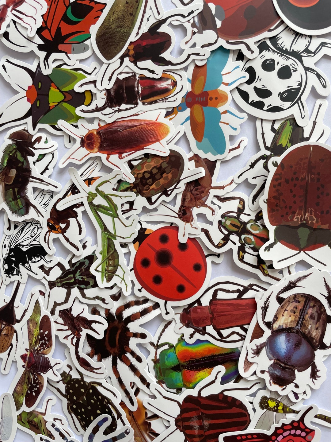 Large Vinyl Insect Stickers | Die Cut Decal Set | Waterproof Reusable ...