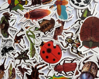 Op de afbeelding: Een verzameling kleurrijke insectenstickers, met verschillende soorten, waaronder kevers, vlinders, lieveheersbeestjes en spinnen. De stickers zijn gedrukt op wit papier en hebben een glanzende afwerking.