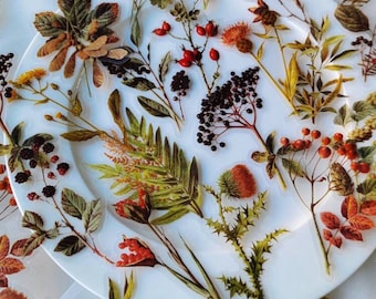 May include: A white plate with various pressed botanicals, including leaves, flowers, and berries. The botanicals are arranged in a decorative pattern and are pressed between two sheets of clear plastic.