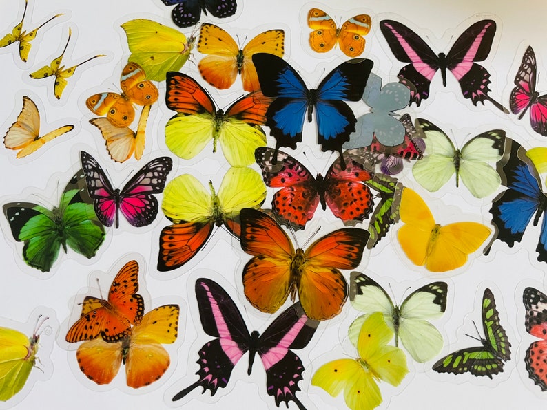 May include: A collection of colourful butterfly stickers with various wing patterns and colours, including blue, green, orange, pink, yellow and red.